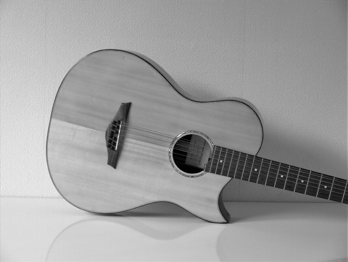 van Bergeijk 12 string 2